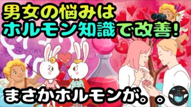 まさか、ホルモンが関係していたなんて。。。恋人・夫婦・恋愛の悩みはホルモン知識で解決せよ！【ライフハックアニメーション】