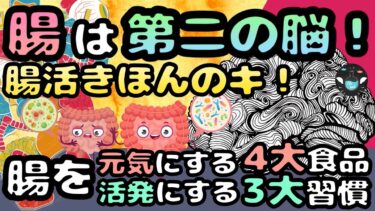 【健康】今日から始める腸活習慣！腸を整えれば頭も体もスッキリ！【ライフハックアニメーション】