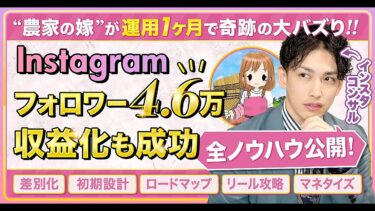 【再現性】インスタ素人がリールで月間1,000万再生突破！驚愕のバズ戦略をすべて解説！カイシャイン🪬YouTube８万人（SNS教育系No.1👑）【ビジネス本研究所】