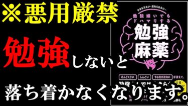 【悪用厳禁】勉強が強制的に辞められなくなります！『勉強嫌いでもドハマりする勉強麻薬』【学識サロン】