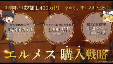 【中級者以上向け】3年間で1,400万円をかけ生み出した「エルメス購入戦略」Hatch【ビジネス本研究所】