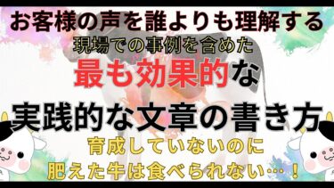 独りでお客様を支えて飯を食うためのに！現場で使える最も効果的な文章戦略【ビジネス本研究所】